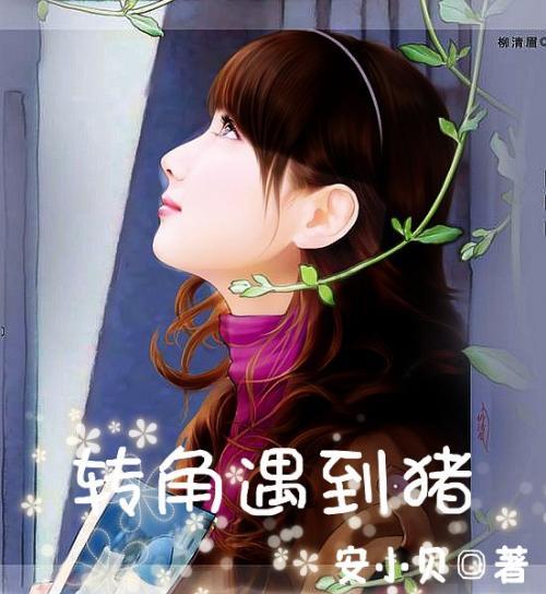 蓝狐视频